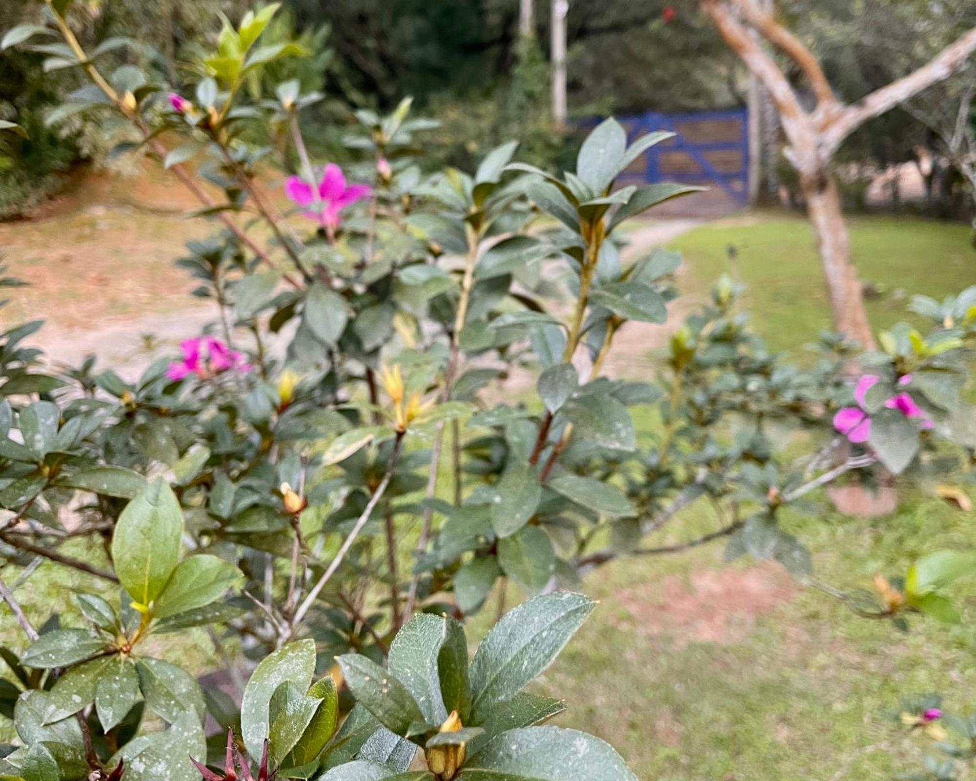 Casa Park Βίλα Παρατί Εξωτερικό φωτογραφία