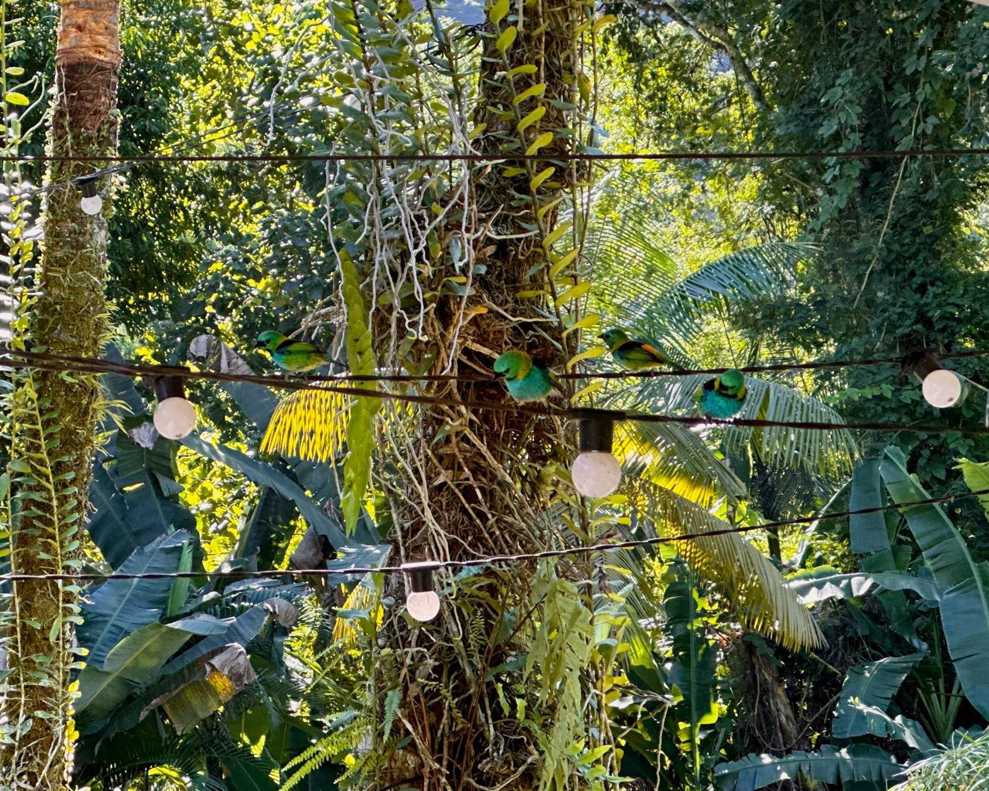 Casa Park Βίλα Παρατί Εξωτερικό φωτογραφία