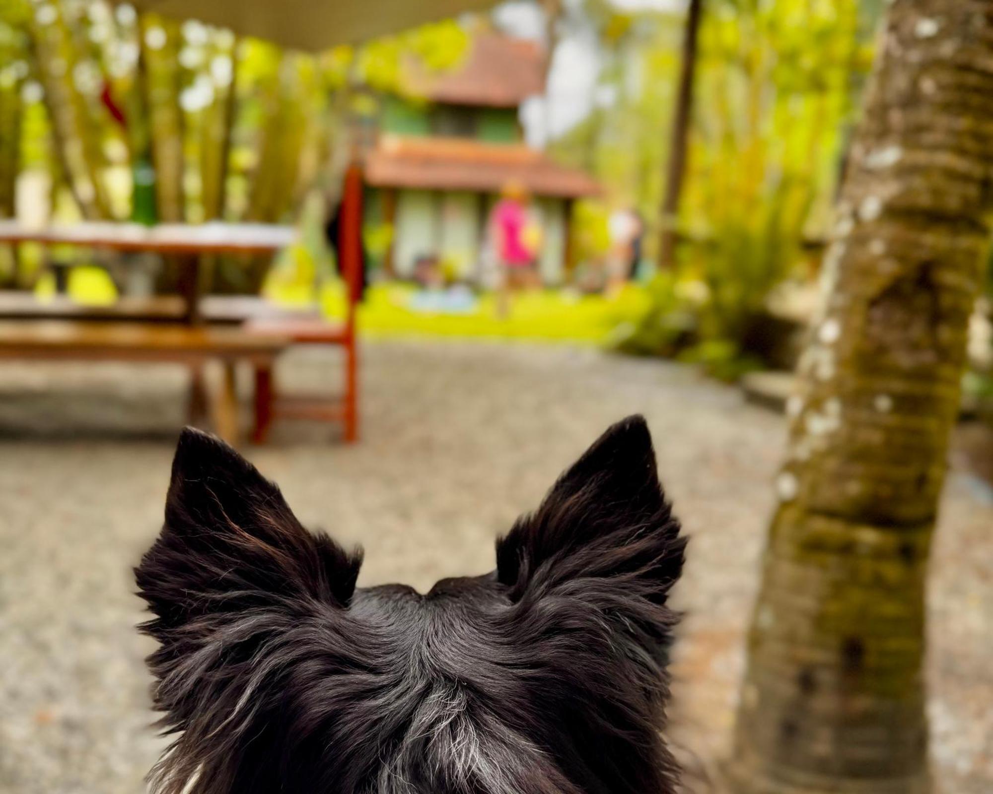 Casa Park Βίλα Παρατί Εξωτερικό φωτογραφία