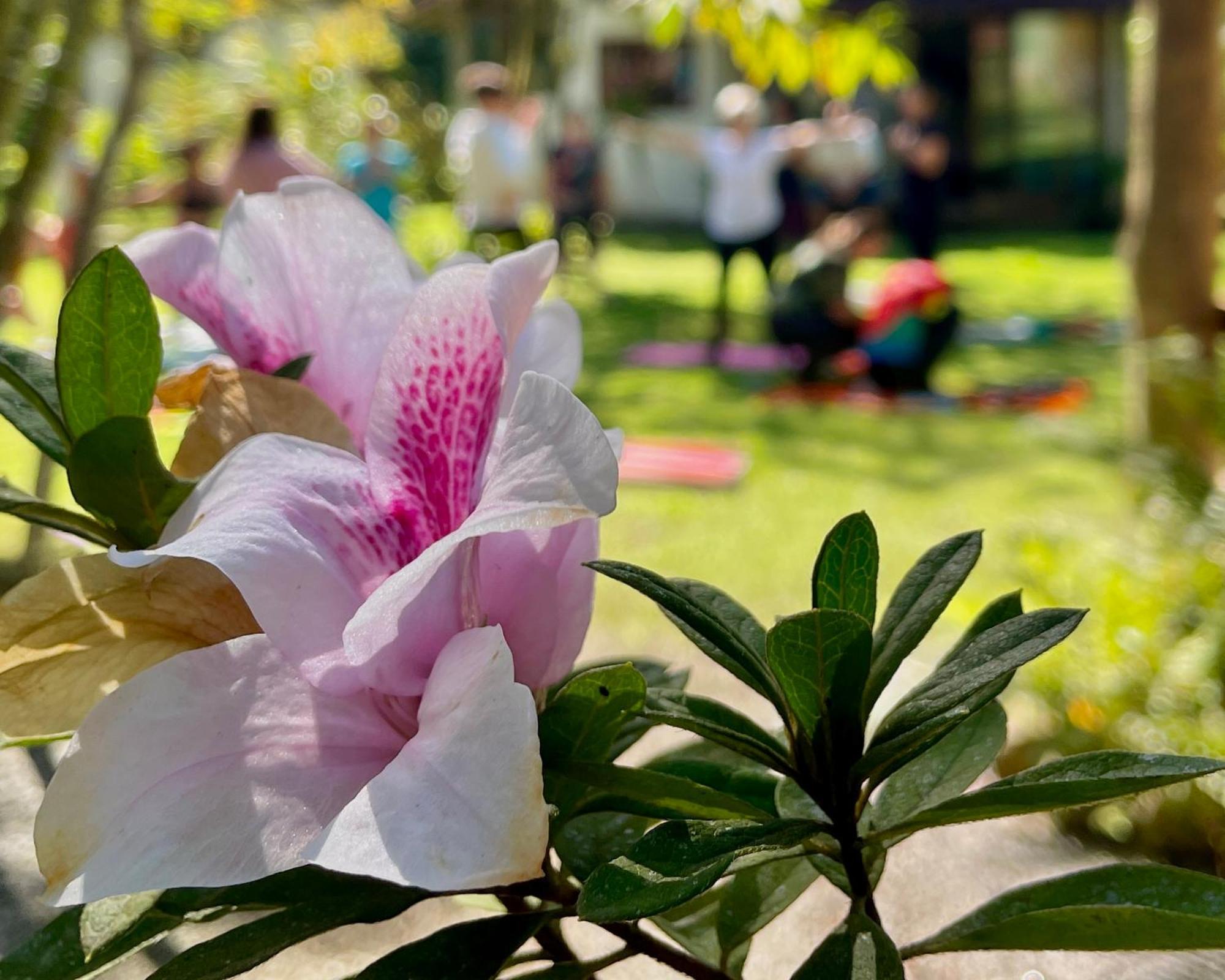 Casa Park Βίλα Παρατί Εξωτερικό φωτογραφία
